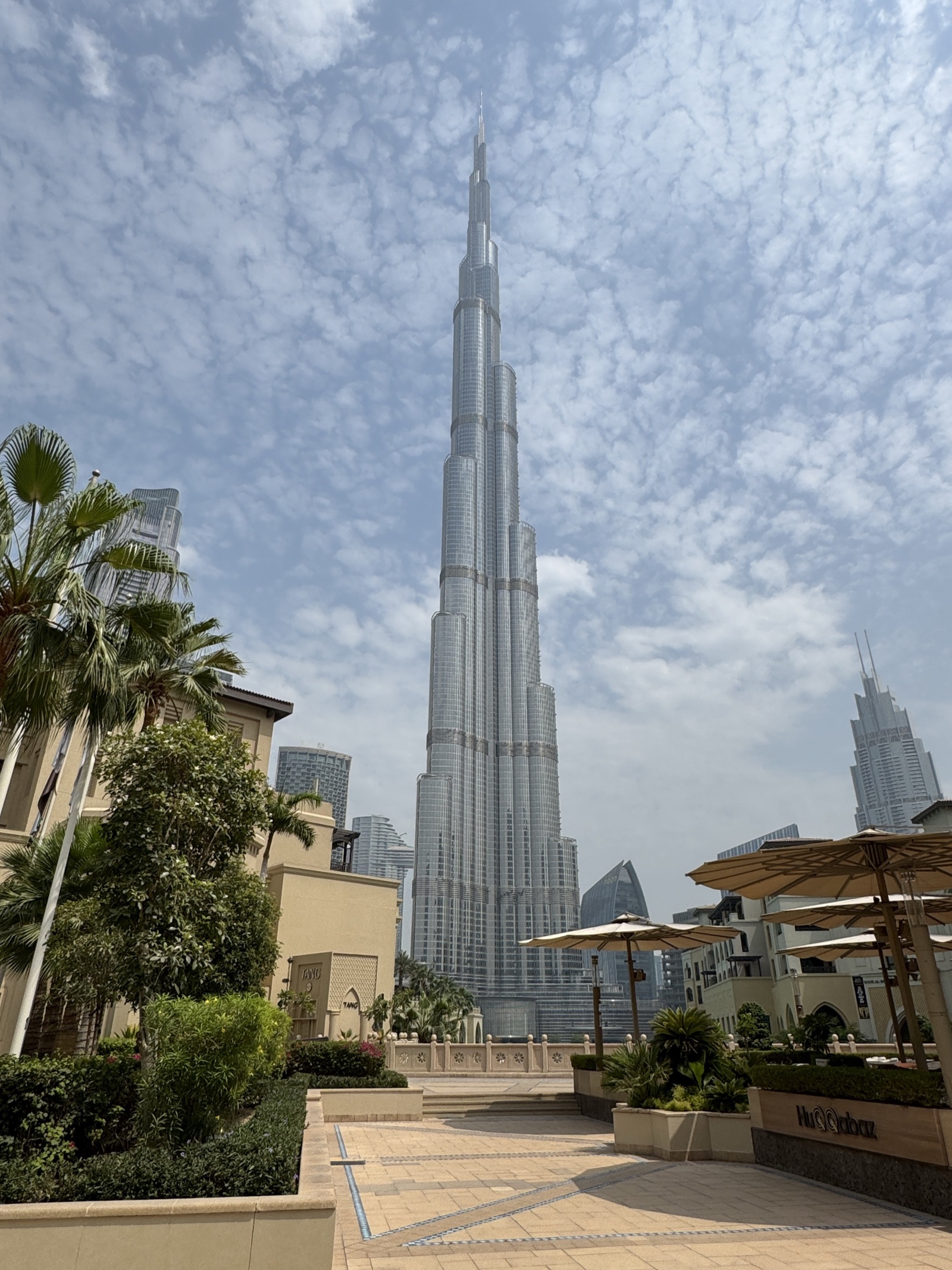 Burj Khalifa framed by palms and a cloudy sky in Downtown Dubai